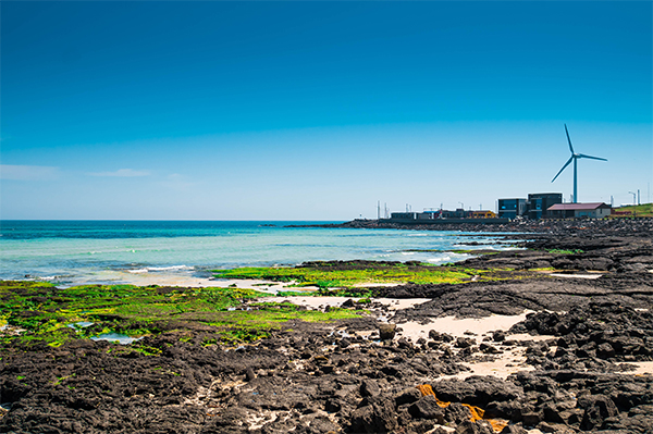 Jeju info
